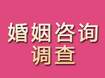 永安婚姻咨询调查